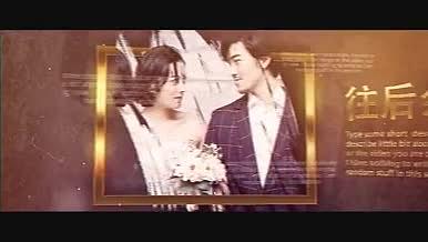 复古黄金边框笔刷装饰婚礼图像展示AE模板视频的预览图